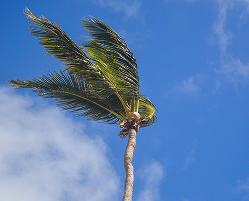 Wind Mitigation Inspections